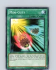 Mini-Guts