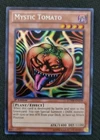 Mystic Tomato