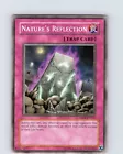 Nature's Reflection