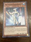Neo-Spacian Aqua Dolphin