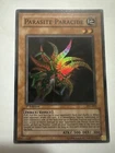 Parasite Paracide