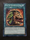 Pot of Extravagance