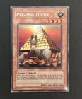 Pyramid Turtle