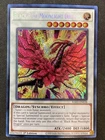 Black Rose Moonlight Dragon