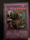 Rabid Horseman