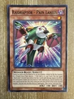 Raidraptor - Pain Lanius