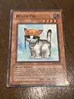 Rescue Cat