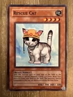 Rescue Cat