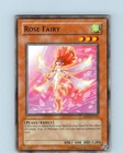 Black Rose Dragon