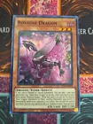 Roxrose Dragon
