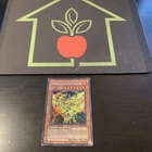 Sacred Phoenix of Nephthys