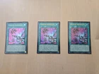 Seventh Ascension