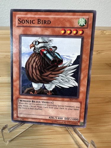 Sonic Bird