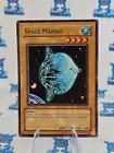 Space Mambo