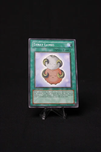 Stray Lambs