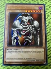 Summoned Skull
