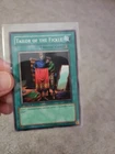 Tailor of the Fickle