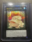 Toadally Awesome