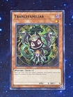 Trancefamiliar