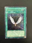Transcendent Wings