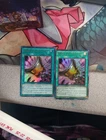 Triple Tactics Talent