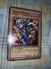 Vorse Raider
