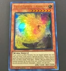 Tenyi Spirit - Ashuna