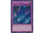 Torrential Tribute