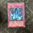 Torrential Tribute
