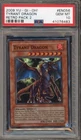 Tyrant Dragon