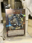 Petit Dragon