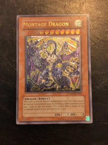 Montage Dragon