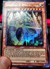 Swordsman of Revealing Light
