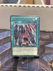 Vessel for the Dragon Cycle
