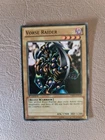 Vorse Raider