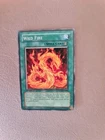 Wild Fire