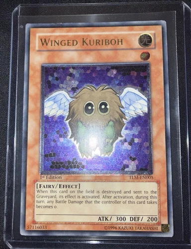 Winged Kuriboh LV10