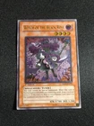 Witch of the Black Rose