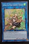 Wynn the Wind Charmer, Verdant
