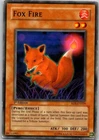 Fox Fire