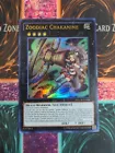 Zoodiac Chakanine