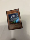 Baby Dragon