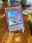 Swords of Revealing Light