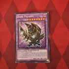 Dark Paladin
