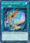 Fusion Recovery