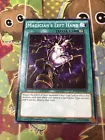Magician's Left Hand