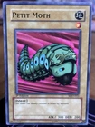 Petit Moth