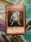 Ryko, Lightsworn Hunter
