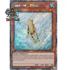 Treeborn Frog