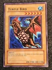 Turtle Bird